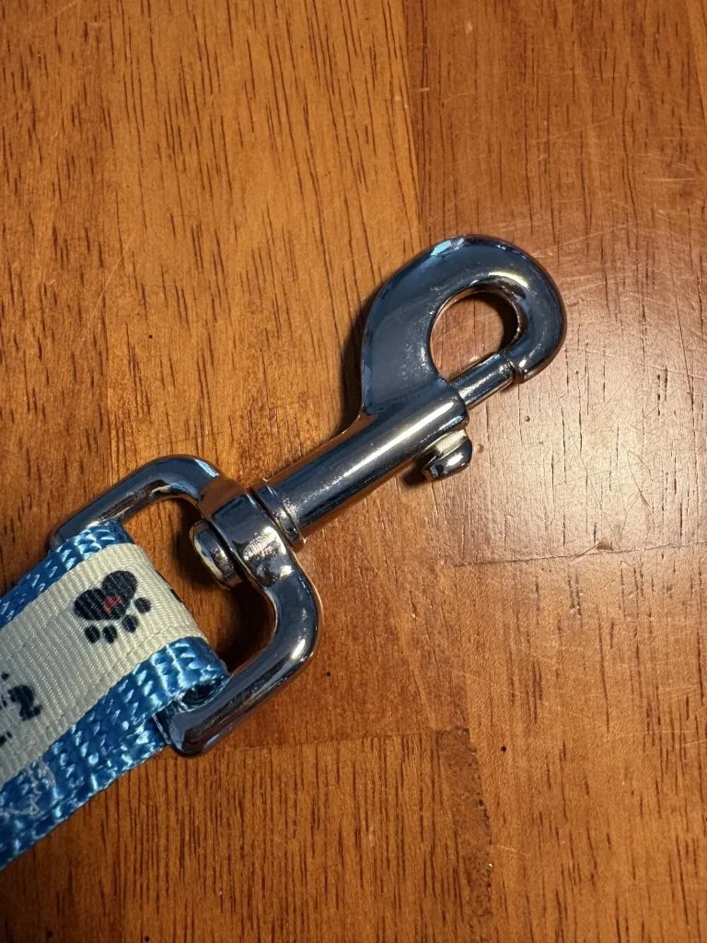 Dog Leash Webbing 66